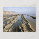 Search for savanah postcards North america