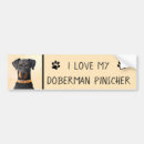 Search for doberman bumper stickers Dog