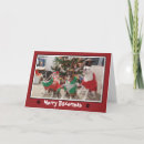 Search for boxer christmas cards Xmas
