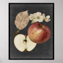 Search for botanical study posters Food