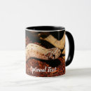 Recherche de boa tasses Reptile