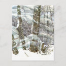 Search for blizzard vertical postcards White