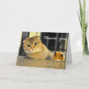 Recherche de cat thank you cards Cute