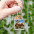 Search for beef keychains Livestock