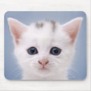 Search for innocent electronics Animal
