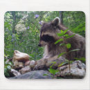 Search for raccoon mousepads Curious