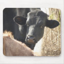 Search for holsteiner mousepads Bull