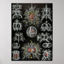 Recherche de vieilles illustrations posters Rétro