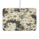 Search for daisy car air fresheners Daisies