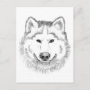 Search for wolf head postcards Wolves