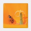 Recherche de insectes de ressort magnets Fleurs