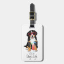 Search for berners accessories Berner sennenhund
