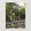 Search for tree photo postcards Trees