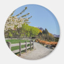 Search for backdrop magnets Nature