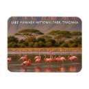 Recherche de tanzanie magnets Nature