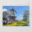 Recherche de moulin à vent Amsterdam