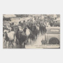 Search for assateague island stickers Pony