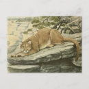 Search for felis postcards Puma