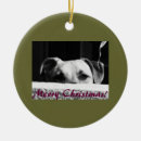 Search for mutt ornaments Animal