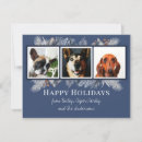 Recherche de french bulldog christmas cards Family