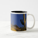 Search for pipe organs mugs Arid