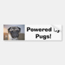 Search for powerful bumper stickers Fun