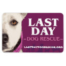 Search for dog rectangular magnets Rescue
