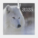 Search for arctic wolf ornaments Wildlife