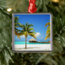 Search for tropical island ornaments Palm tree