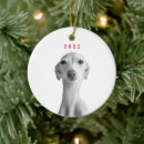 Search for upload ornaments Pet