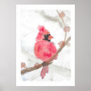 Search for christmas cardinal art Winter