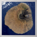 Search for cape verde posters Outdoors