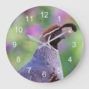 Search for desert bird art Birding