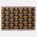 Search for sausage dog blankets Doxie