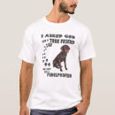 Search for pudelpointer Pointing