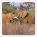 Search for tusk stickers Trunk