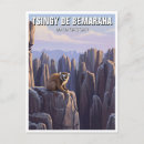 Recherche de lemur cartes postales De