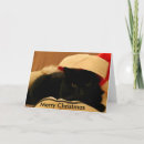 Search for chat noel cards Cat
