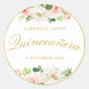 Search for pink quinceanera stickers Quinceañera