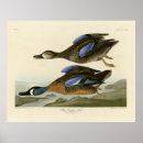 Search for teal posters Illustration
