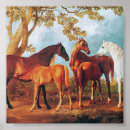 Search for mare art Illustration