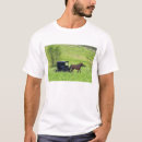 Search for amish tshirts Buggy