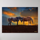 Recherche de palomino posters Equine