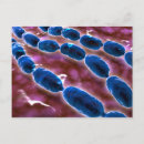 Search for pneumonia postcards Bacteria
