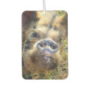 Search for farmer car accessories Animal