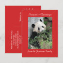 Recherche de chengdu vœux cartes Panda