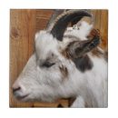 Search for goat tiles Cute