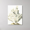 Search for coral reef art Marine