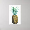 Search for ananas art Fruits