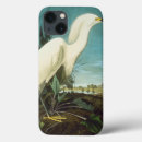 Search for audubon ipad cases Beak
